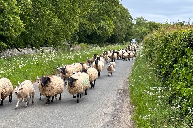 Private Day Tour From Bath to the Captivating Cotswolds - Participant Suitability