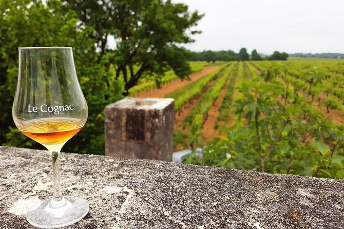 Private Day-Tour From Cognac : Vineyard and Craft Distilleries With Tastings - Quick Points
