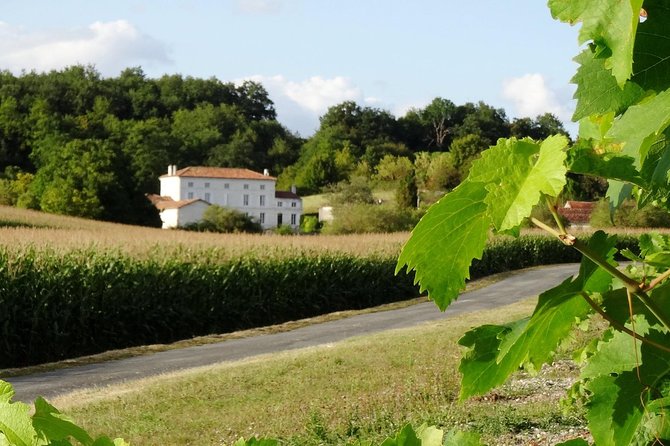 Private Day-Tour From Cognac : Vineyard and Craft Distilleries With Tastings - Explore the Charentaise Cuisine