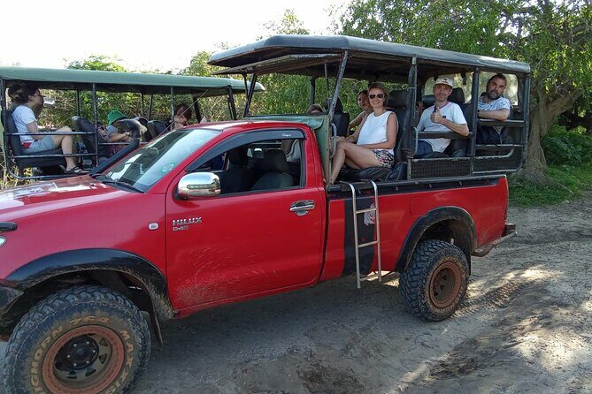 Private Day Tour from Colomb to Yala Safari (Leopard Safari Tour) - An In-Depth Look at the Yala Safari Experience