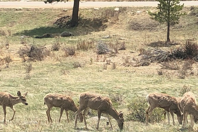 Private Day Tour From Denver to Estes Park and Rocky Mountain National Park - Pricing and Cancellation Policy