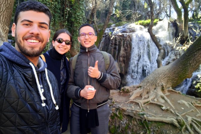 Private Day Tour From Fez to the Middle Atlas - Key Points
