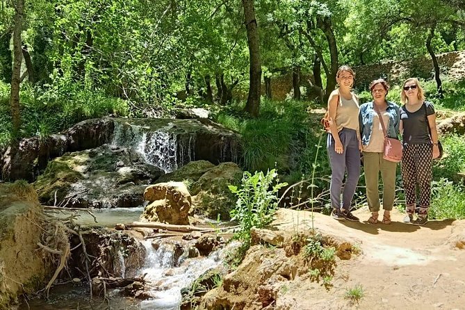 Private Day Tour From Fez to the Middle Atlas - Exploring the Ifrane National Park