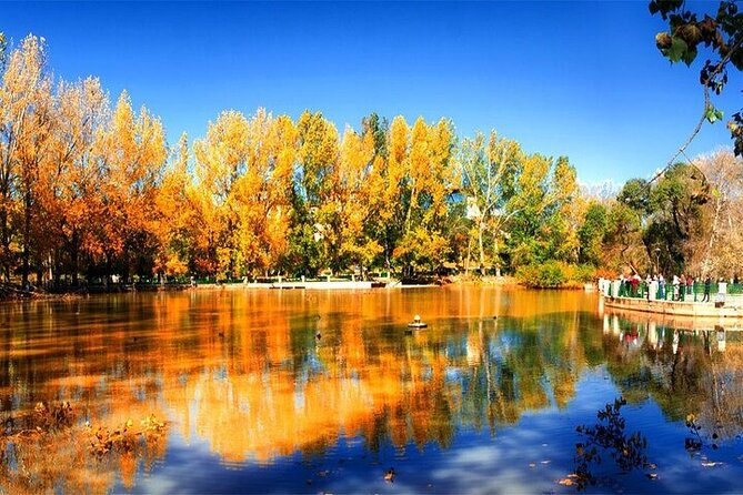 Private Day Tour From Fez to the Middle Atlas - Additional Information