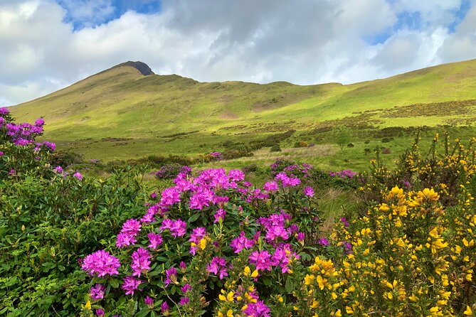 Private Day Tour From Galway to the Burren & the Cliffs of Moher - Booking Details