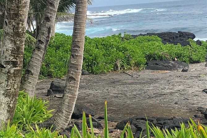 Private Day Tour From Hilo to Puna - Customization and Experience