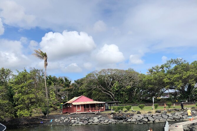 Private Day Tour From Hilo to Puna - Reviews and Feedback