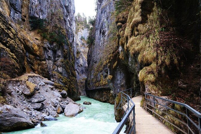 Private Day Tour From Interlaken: Lake, Gorge & Waterfall - Visiting the Alpine Zoo