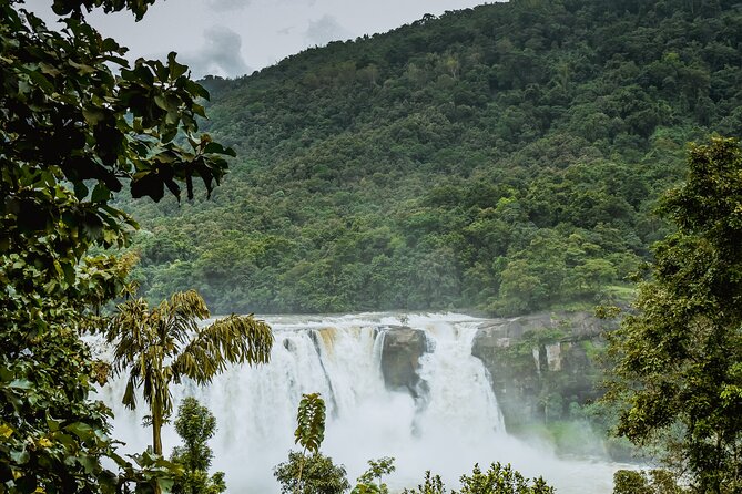 Private Day Tour From Kochi to Athirapally Falls - Key Points