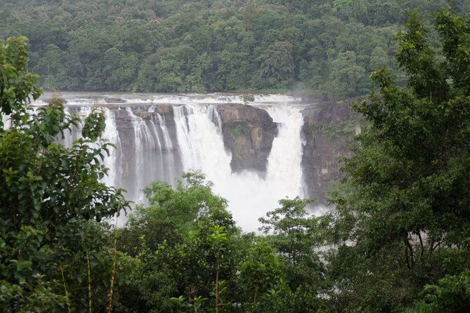 Private Day Tour From Kochi to Athirapally Falls - Kochi to Athirapally Falls Itinerary