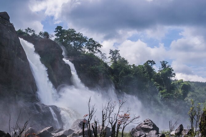 Private Day Tour From Kochi to Athirapally Falls - Booking Details and Availability
