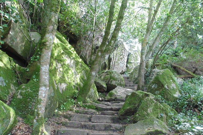 Private Day Tour From the Centre to the Highest Point in Sintra. - Booking Information
