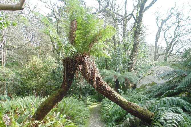 Private Day Tour From the Centre to the Highest Point in Sintra. - End Point and Duration