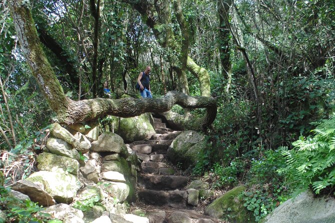 Private Day Tour From the Centre to the Highest Point in Sintra. - Pricing and Group Size