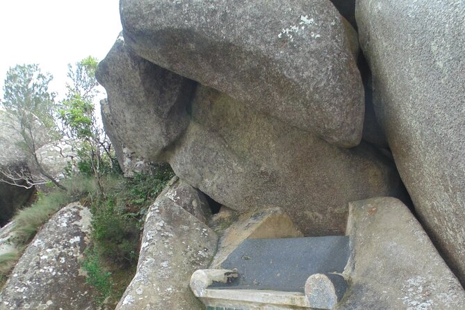 Private Day Tour From the Centre to the Highest Point in Sintra. - Customer Reviews