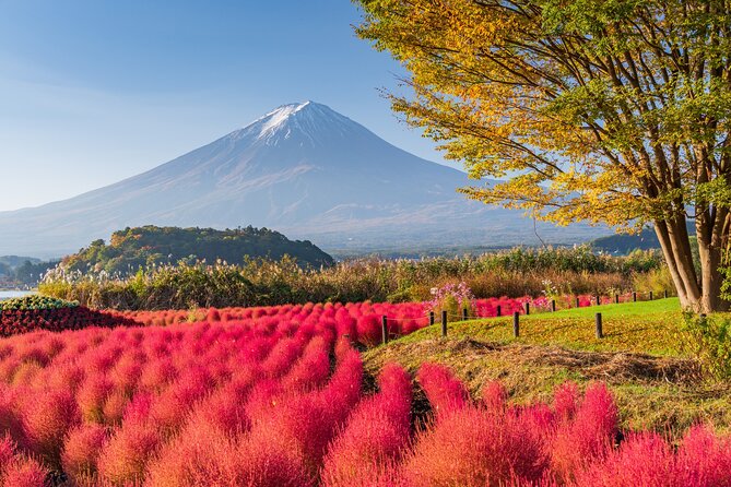 Private Day Tour From Tokyo: Customized Mount Fuji Highlights - Cancellation Policy