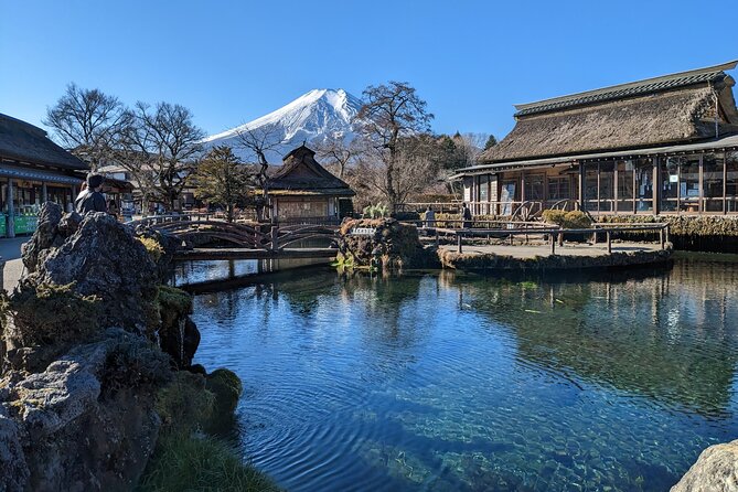 Private Day Tour From Tokyo: Customized Mount Fuji Highlights - Transportation and Logistics