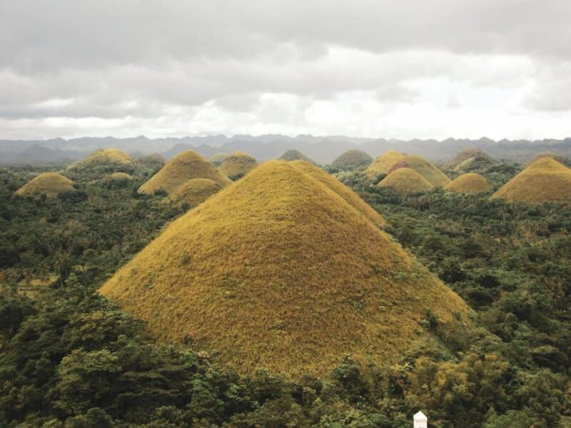 Private Day Tour in Bohol From Cebu With Roundtrip Transfers - Key Points