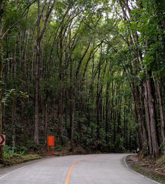 Private Day Tour in Bohol From Cebu With Roundtrip Transfers - Important Tour Information