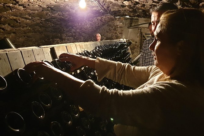 Private Day Tour in Champagne - Gourmet Lunch Details