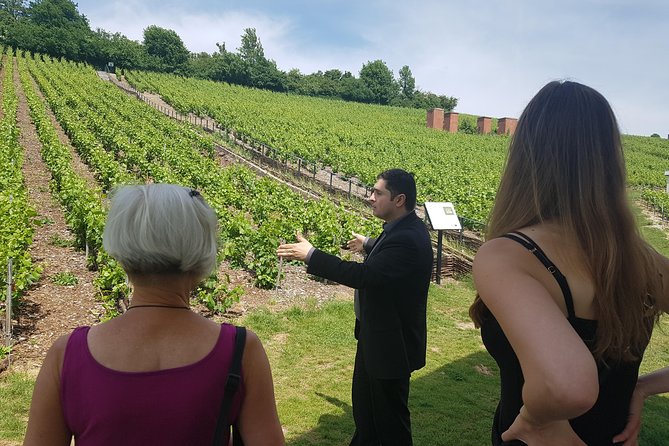 Private Day Tour in Champagne - Guest Reviews and Feedback