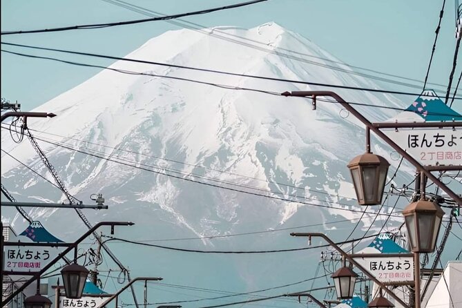 Private Day Tour in Mount Fuji From Tokyo - Tour Type