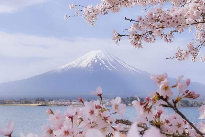 Private Day Tour in Mount Fuji From Tokyo - What to Expect