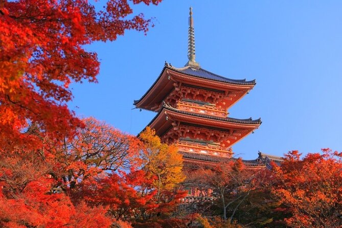 Private Day Tour in Osaka and Kyoto With Charter Car - Child Seat Pricing
