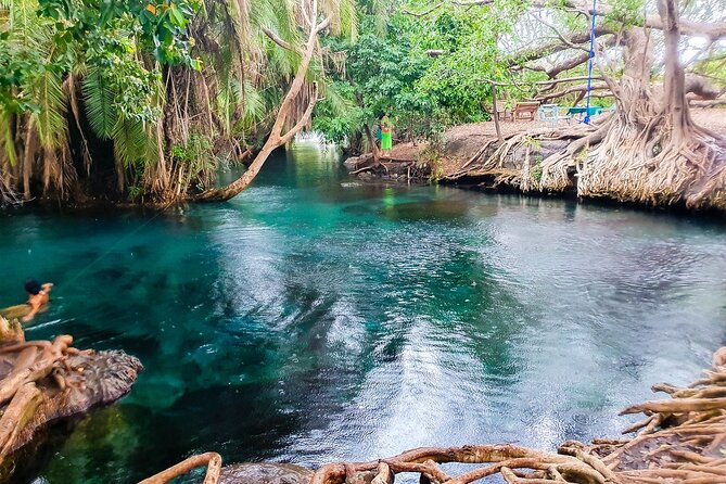 Private Day Tour in Serval Wildlife and Kikuletwa Hot Spring - Pickup and Transportation Options