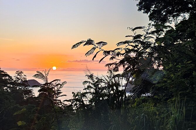 Private Day Tour in Seychelles - Tour Overview and Pricing