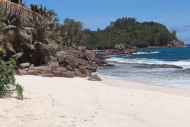 Private Day Tour in Seychelles - Tips for Your Tour Experience