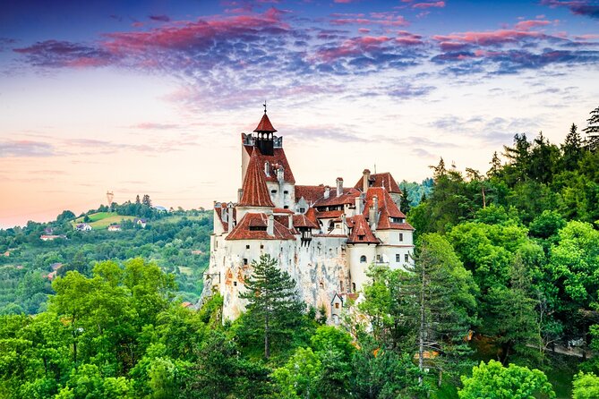 Private Day Tour in Transylvania, Peles and Bran Castles From Brasov - Inclusions and Costs