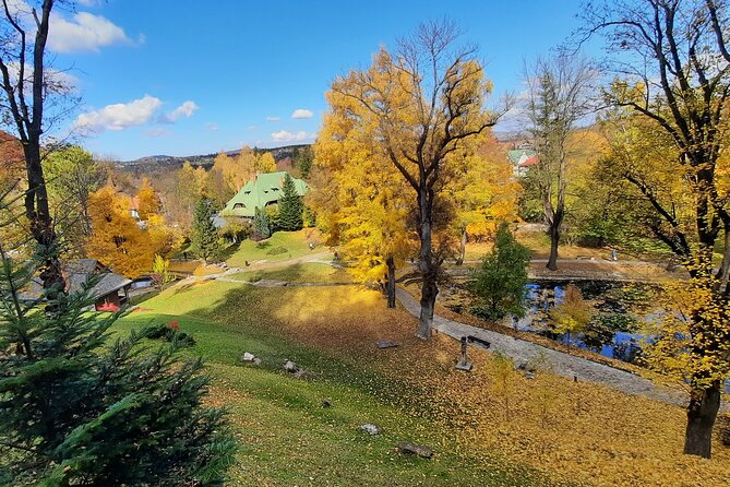 Private Day Tour in Transylvania, Peles and Bran Castles From Brasov - Bran Castle