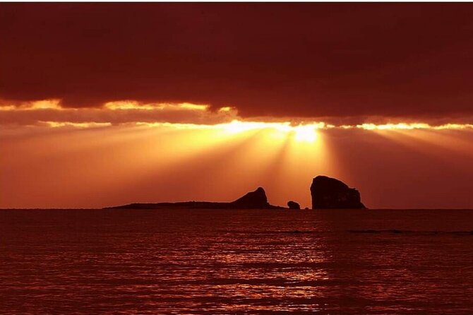 Private Day Tour in West & South Very Experienced Driver in Jeju - Customer Reviews