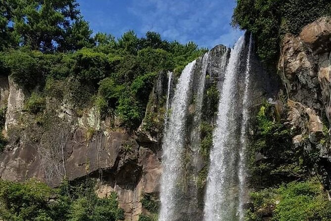 Private Day Tour in West & South Very Experienced Driver in Jeju - Experienced Driver Highlights
