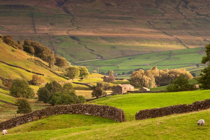 Private Day Tour in Yorkshire Dales, Fell, Valley and Castle - Tour Features and Inclusions