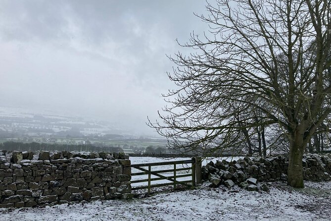 Private Day Tour in Yorkshire Dales, Fell, Valley and Castle - Highlights of the Yorkshire Dales
