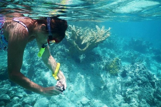 Private Day Tour: Indonesia Batam Island Reef Snorkel & Kayak From Singapore - Good To Know