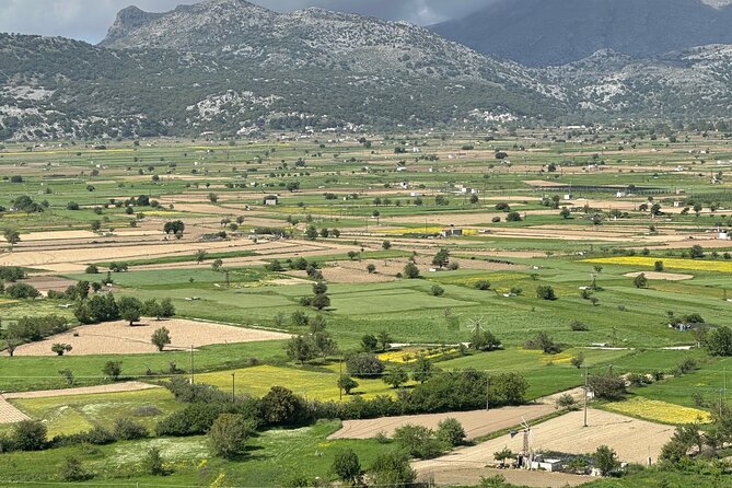 Private Day Tour Knossos-Lassithi Plateau-Cave of Zeus - Traveler Feedback