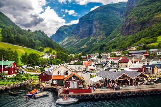 Private Day Tour - Nærøyfjord Cruise & Undredal House of Cheese - Accessibility and Participation
