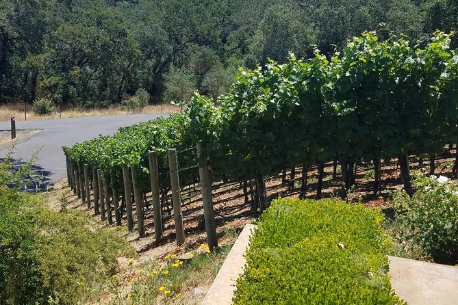 Private Day Tour: Napa Valley Wine Tasting From San Francisco - 6hrs - Itinerary and Customization