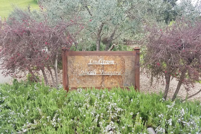 Private Day Tour: Napa Valley Wine Tasting From San Francisco - 6hrs - Winery Experiences