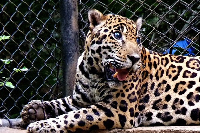 Private Day Tour of Arignar Anna Review - Highlights of the Zoo