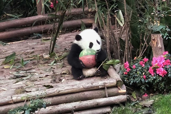 Private Day Tour of Chengdu City Overivew - Cancellation Policy