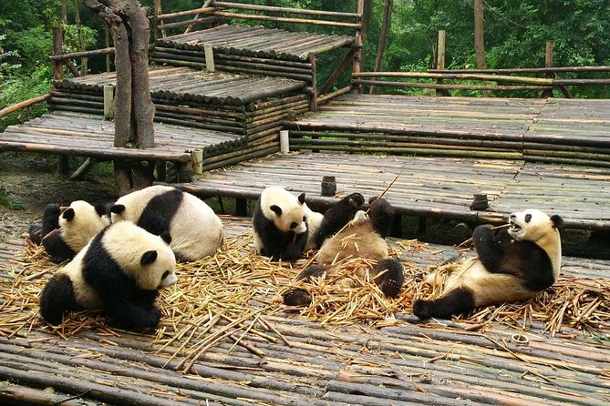 Private Day Tour of Chengdu City Overivew - Ticket Redemption