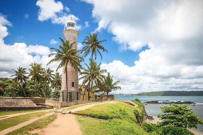 Private Day Tour Of Galle From Colombo and Negombo - Turtle Conservation Efforts