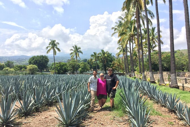 Private Day Tour of Guachimontones & Tequila - Traveler Reviews