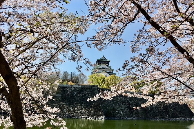 Private Day Tour of Historic Osaka - Exploring Osakas Historic Sites