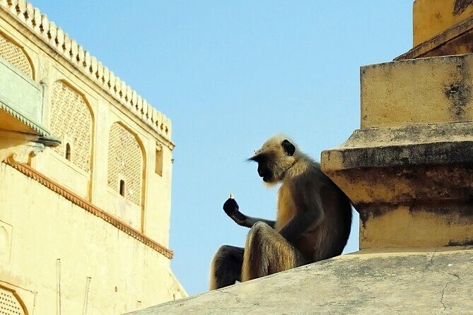 Private Day Tour of Jaipur with a Guide and Including Lunch - Practical Insights: What to Expect