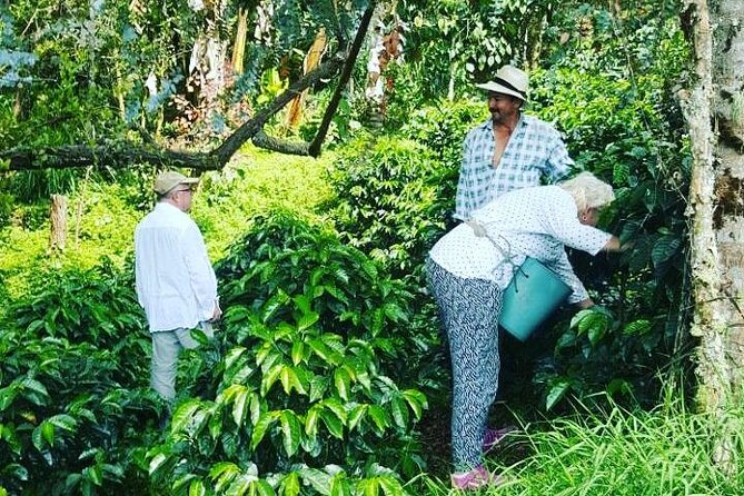 Private Day Tour of Jardín With Horseback Ride and Coffee Villa From Medellin - Guest Experiences